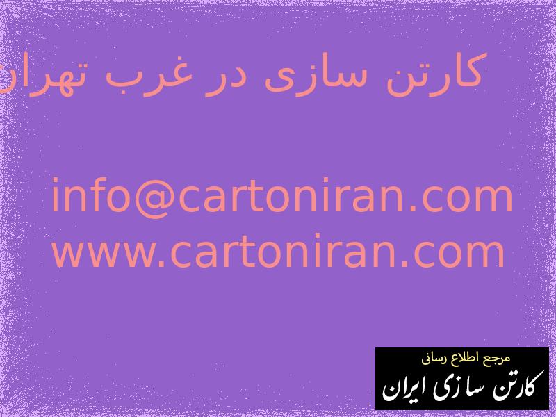 کارتن سازی در غرب تهران